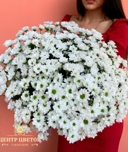 Букет из 25 белых кустовых хризантем