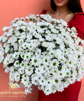Букет из 25 белых кустовых хризантем