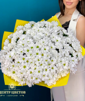Букет из 35 белых кустовых хризантем
